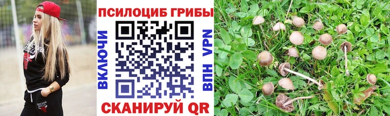 Галлюциногенные грибы мицелий  Агидель 